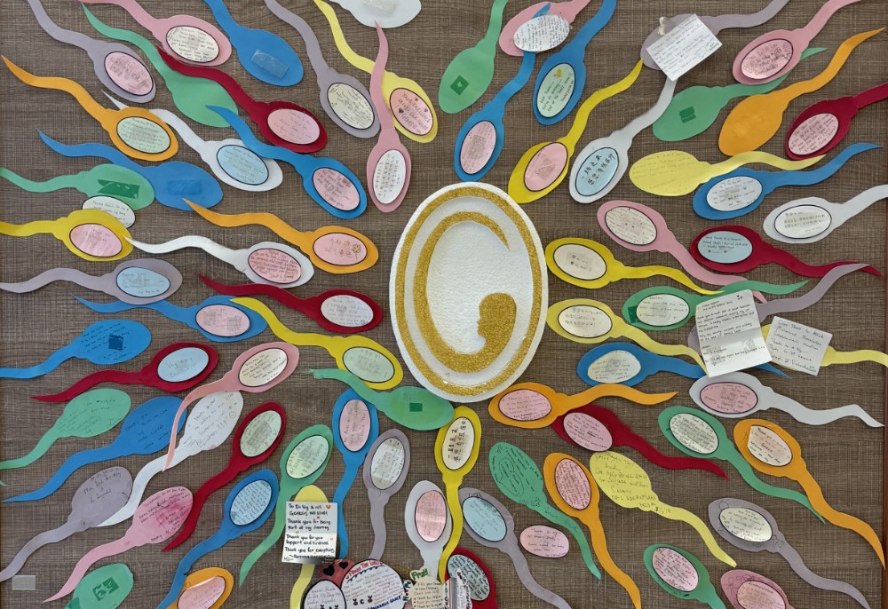 Testimony Genesis IVF Penang